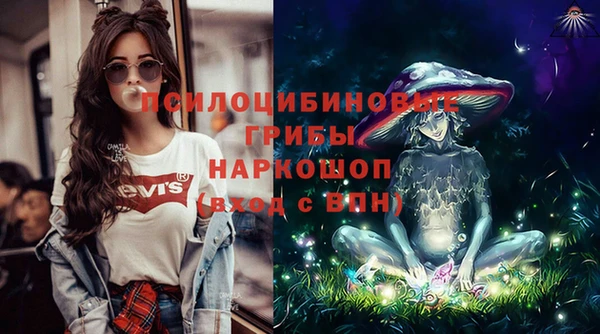 ECSTASY Абаза